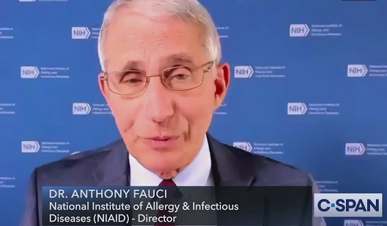 DNI Tulsi Gabbard’s last day: Fauci funded ‘gain-of-function research at the Wuhan lab’ DNI Tulsi Gabbards last day Fauci funded ‘gain of function research at the Wuhan lab