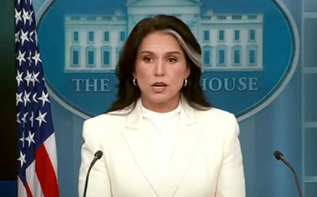 Gabbard: Fauci, Biden team lied about extensive funding of foreign biolabs Gabbard Fauci Biden team lied about extensive funding of foreign biolabs