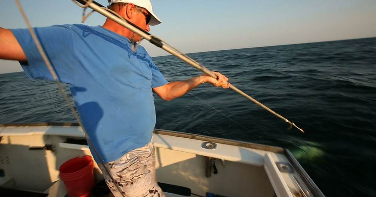 ICAST 2026: Sen. Graham's Legacy, Expanding Access, and Sharks 0 1200x630 1