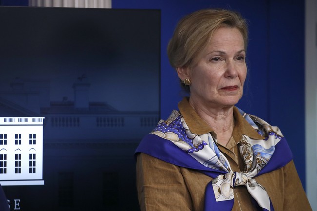 Don’t Forget the Role the ‘Scarf Queen’ Played in the Fauci Cabal 03 3ab58697a21b