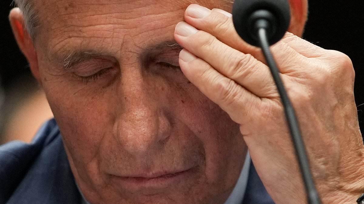 Fauci visibly rattled as Rand Paul drops stunning Bill Gates security clearance bombshell during ferocious COVID hearing 110324105 0 image a 16 1785356053454
