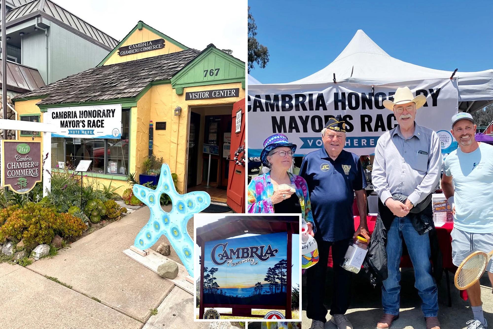 Tiny coastal town where politicians can buy votes in the mayor’s race — but all is not as it seems 136032018