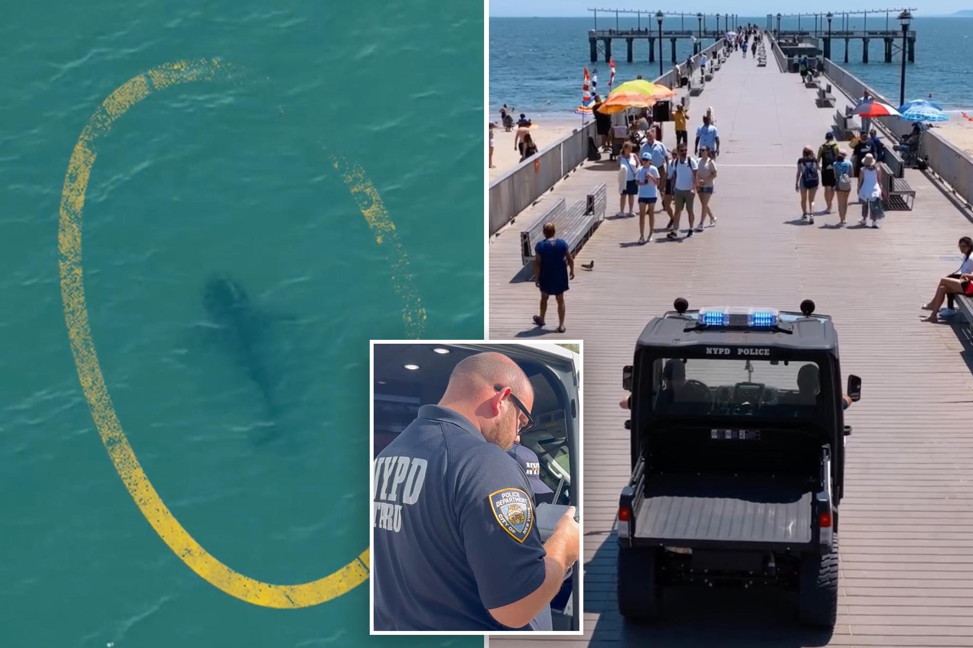 NYPD deploys drones to track sharks after rise in sightings off NYC beaches 136067678