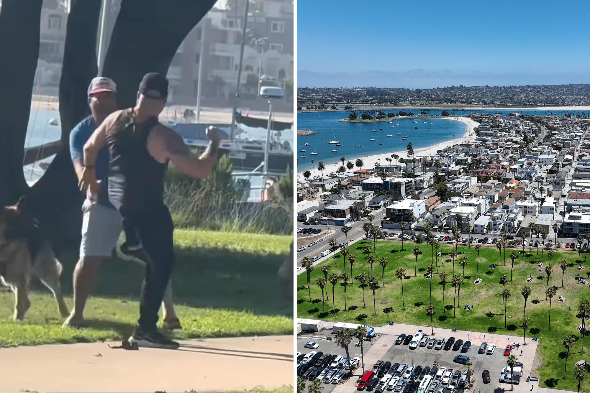 Fists fly as two men and their dogs brawl at popular San Diego tourist destination in wild video 136085926