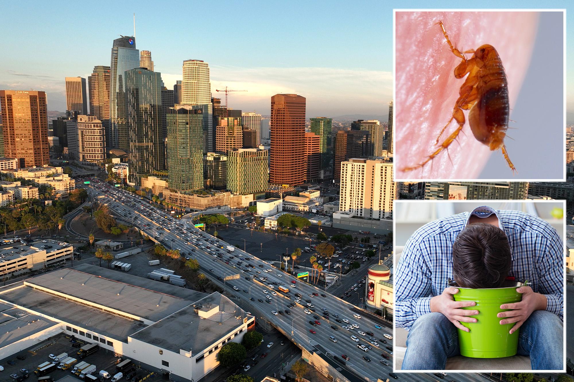 Vile flea-borne vomiting illness hits LA neighborhood as urgent warning issued 136108543