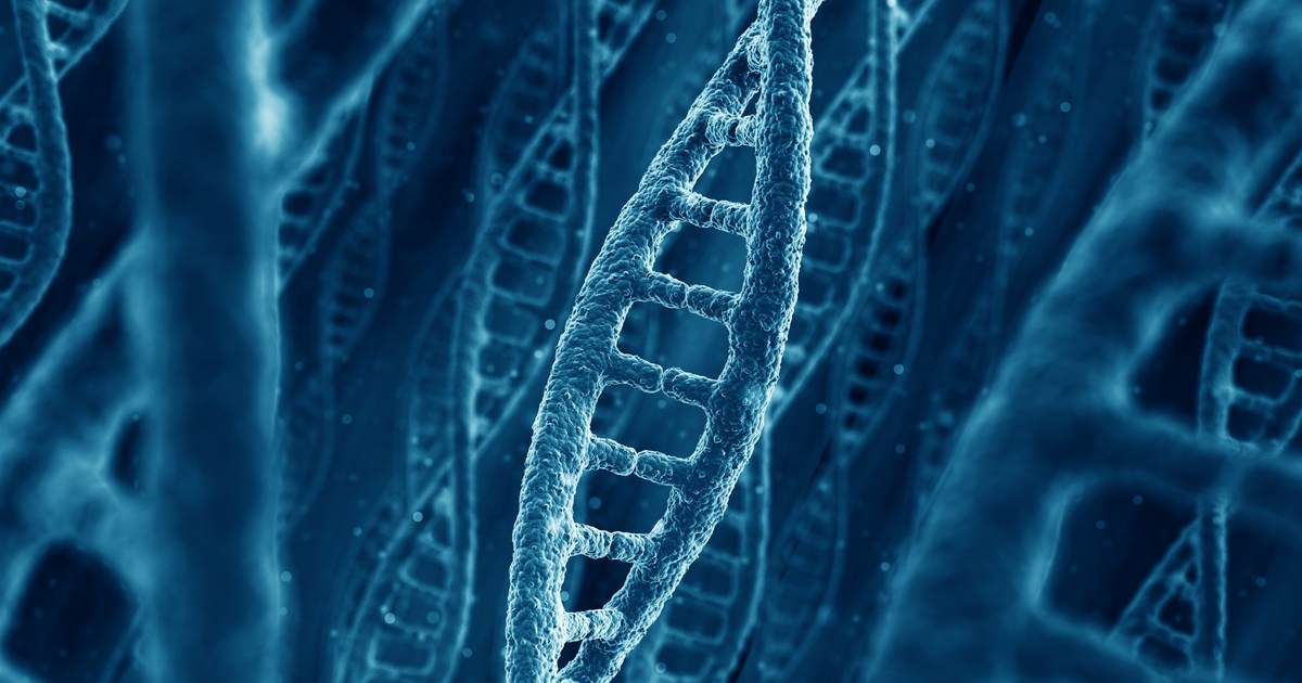 Evidence of Design at the Frontier of Biology 31415cfb 6062 4072 9aa8 5241bef0f94f 1200x630 1