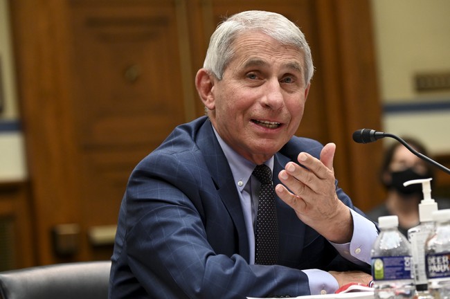 The Morning Briefing: Regrettably, Anthony Fauci Slept Very Well Last Night 4 6ce404155cbe