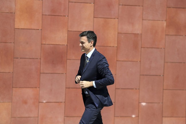 Elon Musk Was Right: Pedro Sánchez Is a Traitor 4479