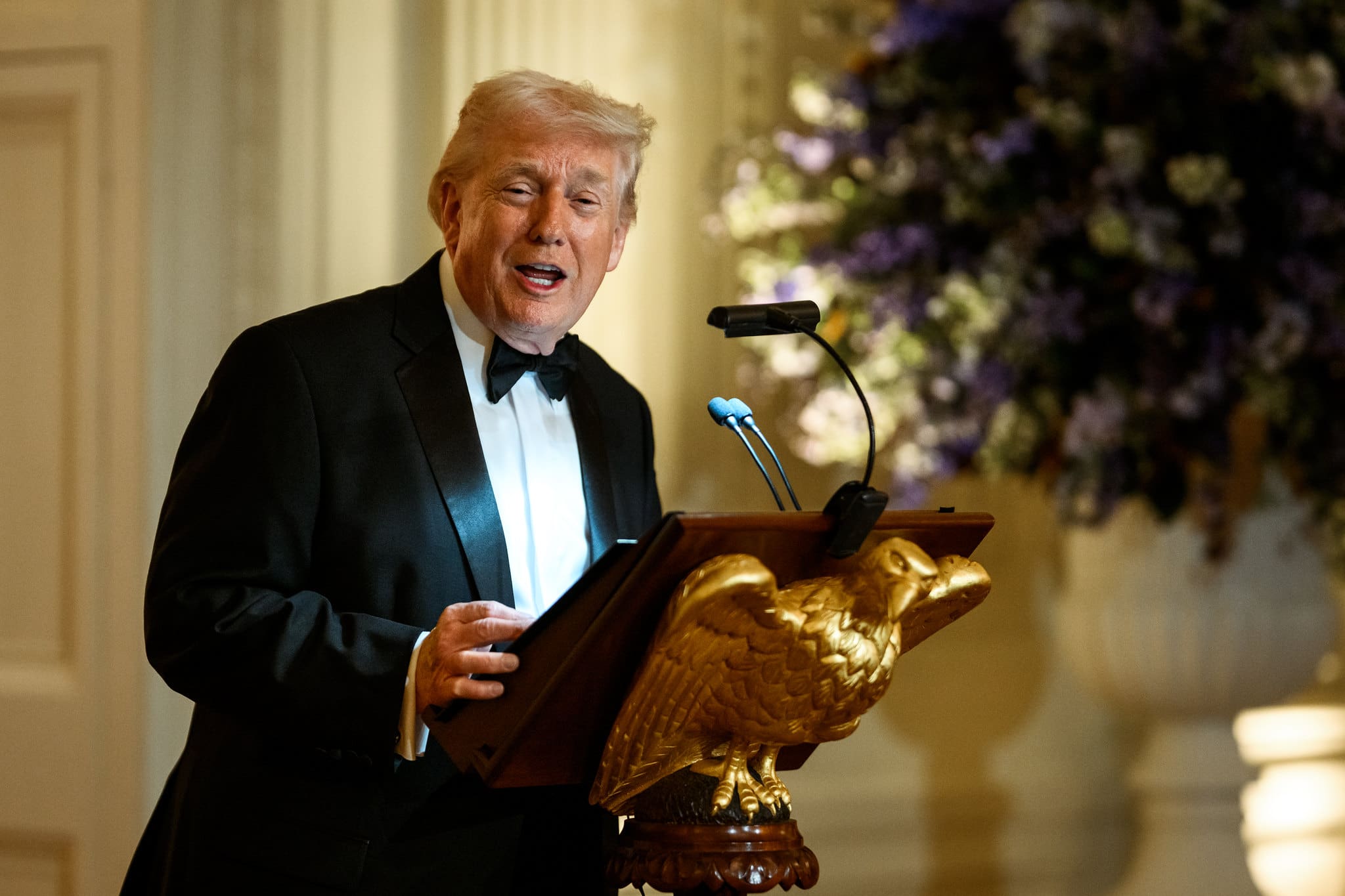 Trump Says This Republican Has Been “Terrific” Since Massie Lost His Primary 5e11 k