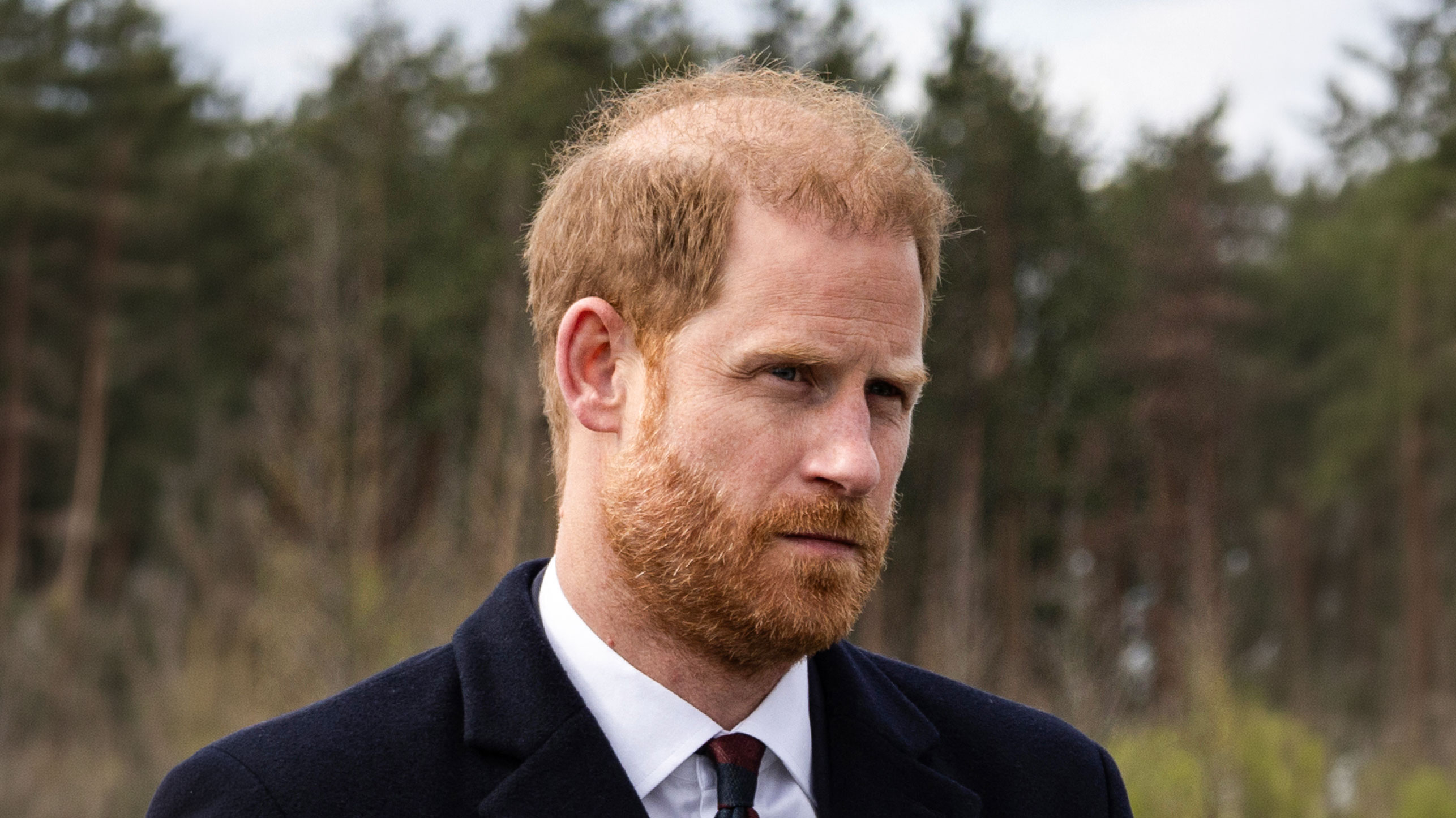 The Humiliation of Prince Harry 72a8fd5e 68a1 4756 b7c8