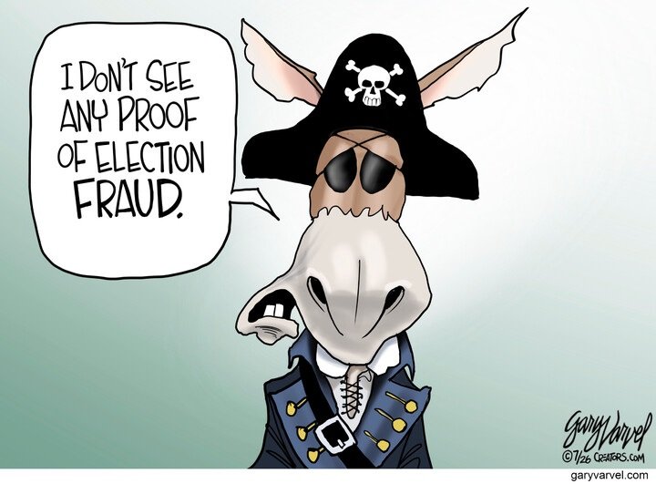 Best political cartoons: I don’t see any proof of election fraud Best political cartoons I dont see any proof of election fraud