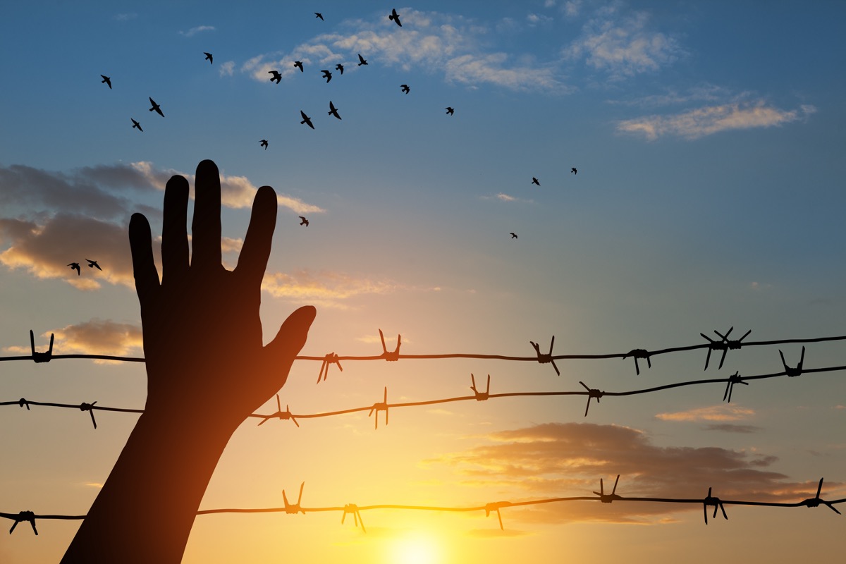 “Trans” Man Leaves U.S., Fearing Trump; Begs to Return After Being Put in Muslim-heavy Asylum Center Concentration camp prison camp barbed wire hand 111725 getty 1651358846