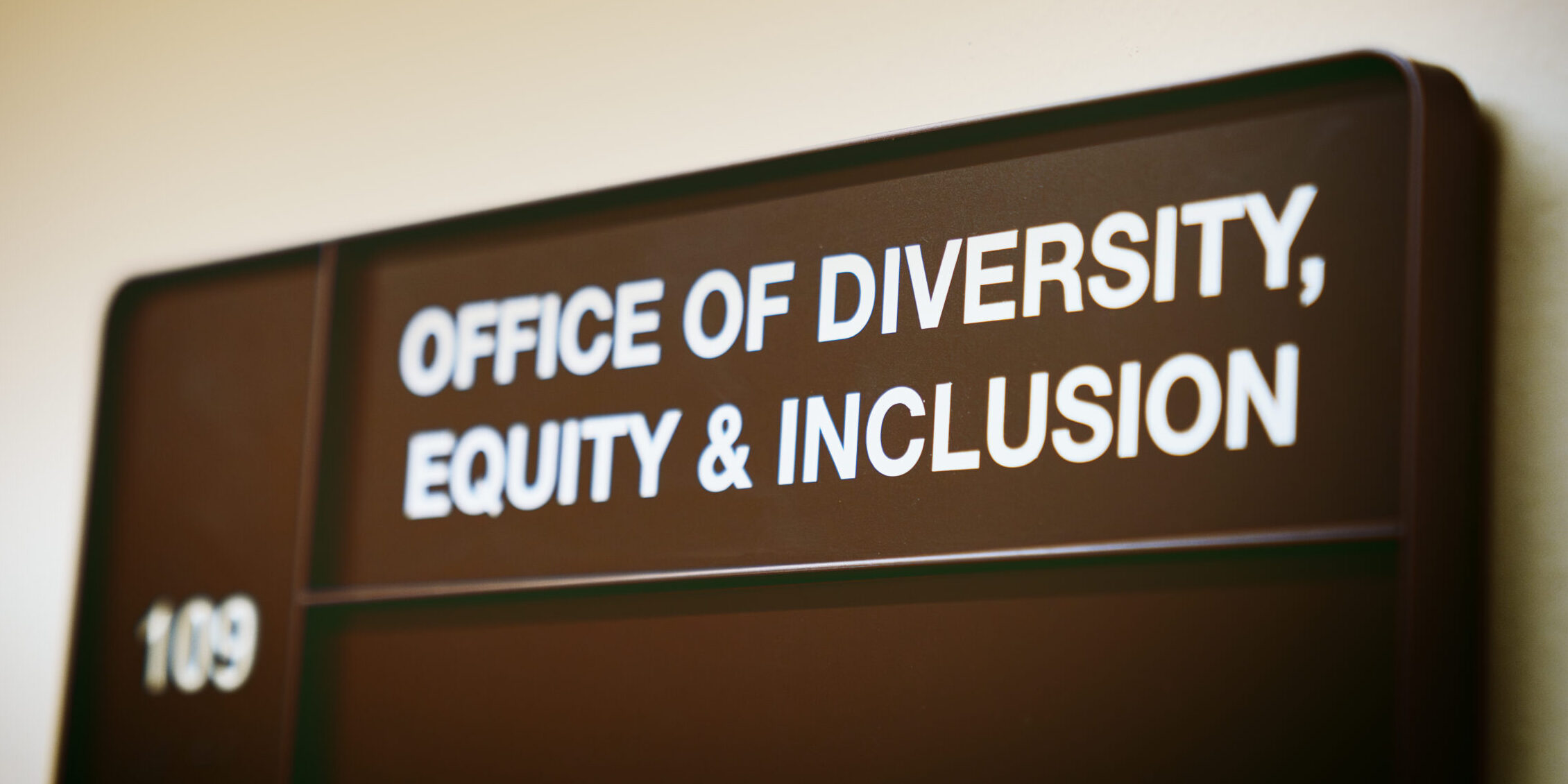 Trump Admin Advances New Hiring Rule to Eliminate DEI in Federal Government. DEI scaled e1759348500322