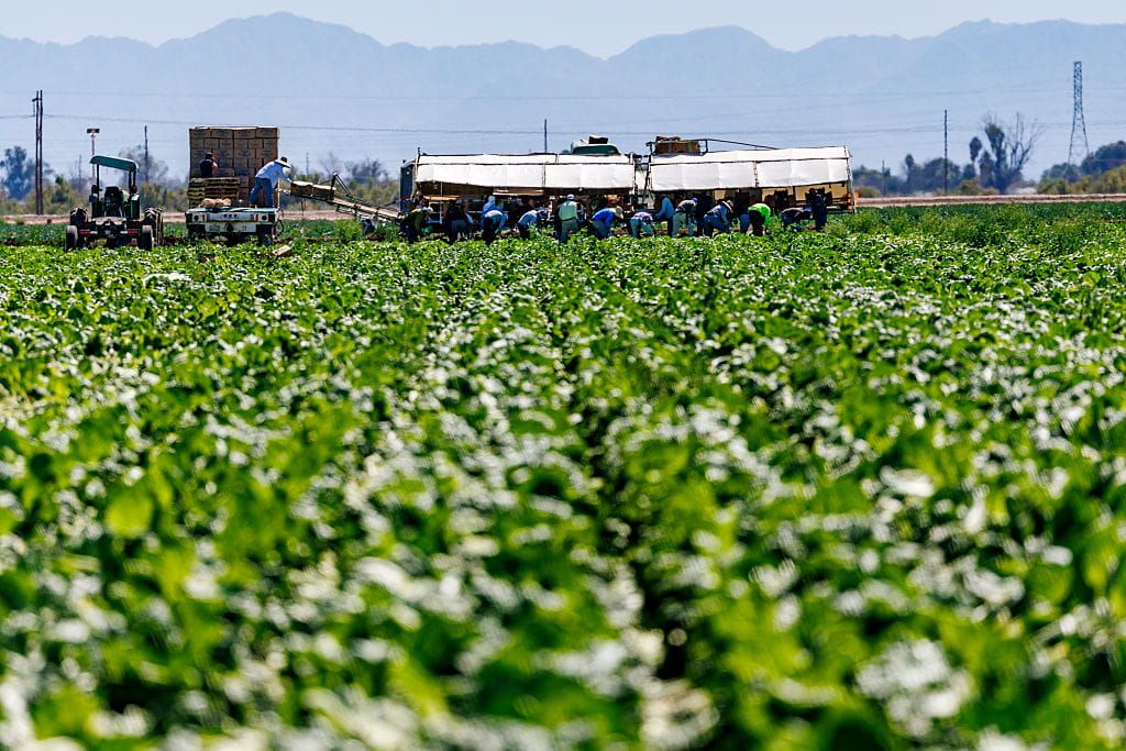 Illegal Immigrant Amnesty Buried in GOP-Backed Ag Bill GettyImages 22690378921 1024x683 2