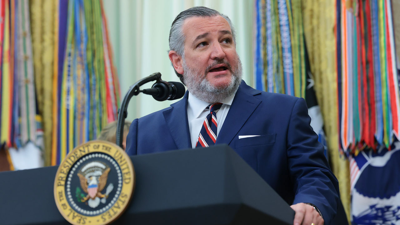 ‘Democrats Want Illegal Aliens to Vote’: Cruz Pushes GOP to Pass SAVE America Act GettyImages 2284893895