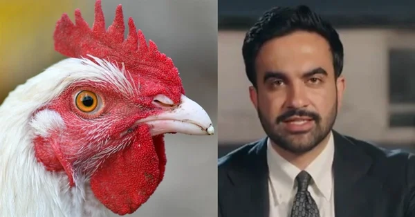 INSIDER: Chicken ala Commie INSIDER Chicken ala Commie