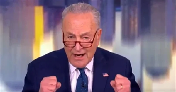 INSIDER: The Schumer smokescreen: Top Dem prepping their excuses if they choke like dogs in the midterms INSIDER The Schumer smokescreen Top Dem prepping their excuses if they choke like dogs in the midterms