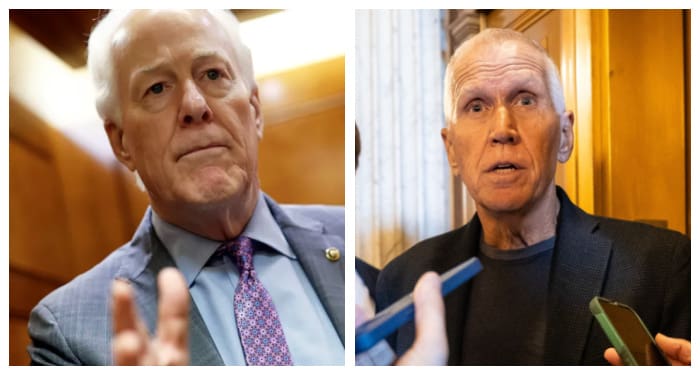 RINO Traitor Senators Cornyn, Tillis Drag Their Feet On Blanche Nomination But Voted For All Obama, Biden Appointees RINO Traitor Senators Cornyn Tillis Drag Their Feet On Blanche Nomination But Voted For All Obama Biden Appointees