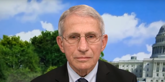Senators to Vote on Holding Fauci in Contempt of Congress Screen Shot 2022 03 30 at 60913 PM