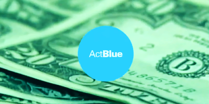 ActBlue Faces Scrutiny Over Michigan Woman’s $100K+ in Donations actblue msnbc e1733977257447