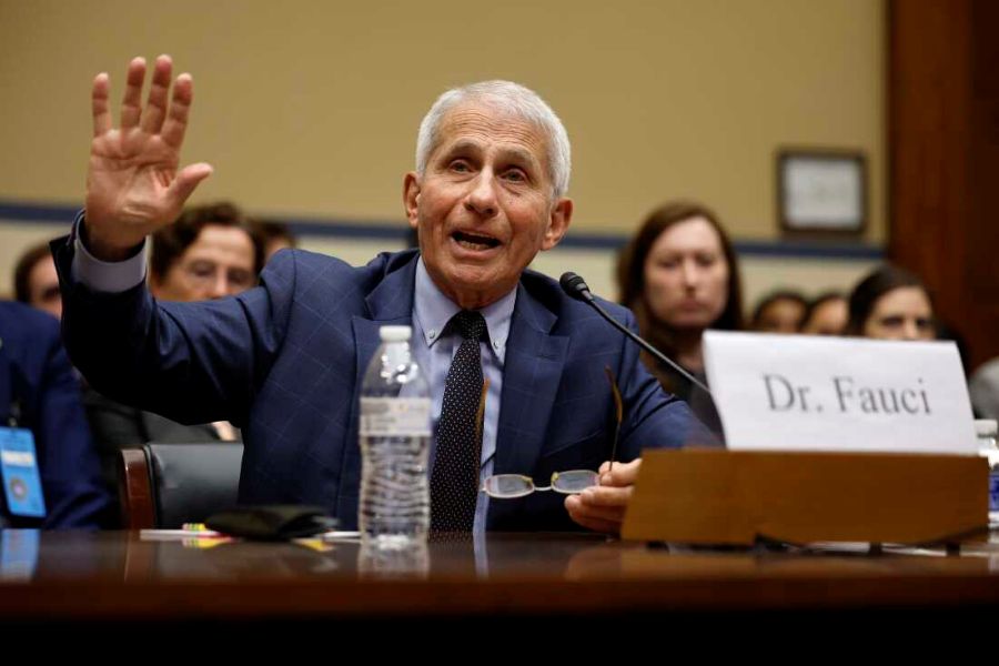 ‘MAKES IT WORSE’: CNN Expert Admits Fauci Opened Himself Up To Prosecution In Senate Hearing auci 2 1