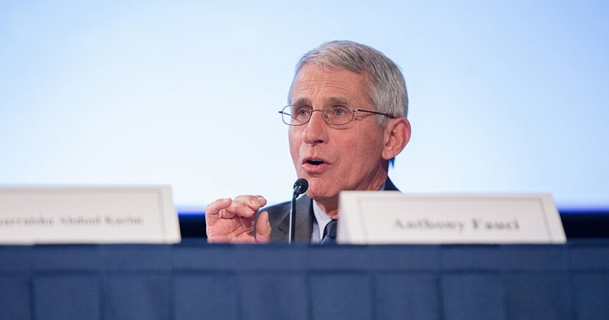 Anthony Fauci Senate Hearing Today: What His COVID Diaries Reveal and What Happens Next auci 35