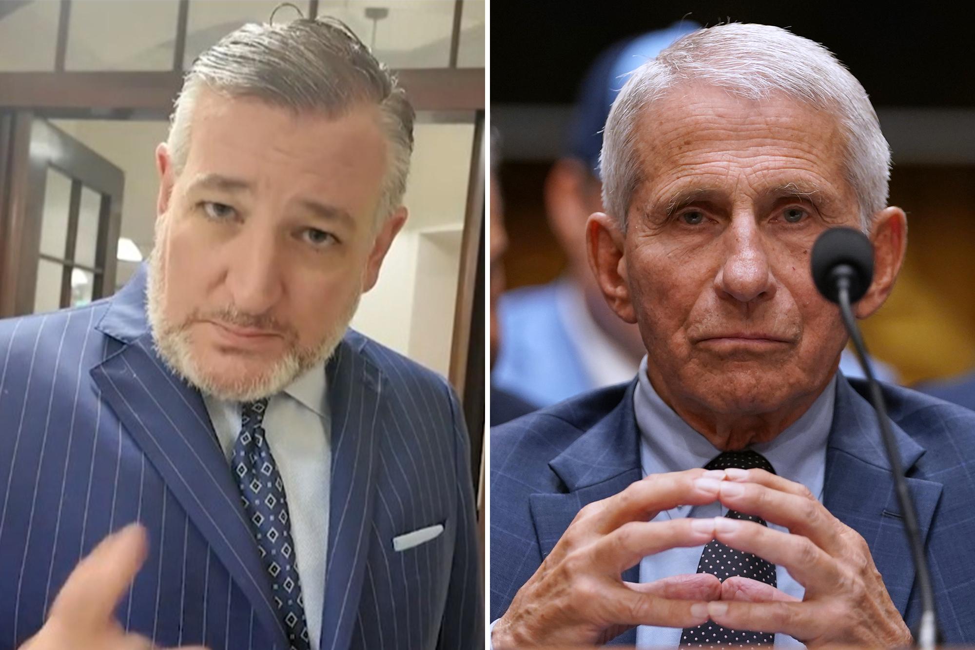 Dr. Anthony Fauci ‘America’s most damaging bureaucrat,’ ‘should go to jail,’ Sen. Ted Cruz says auci 56