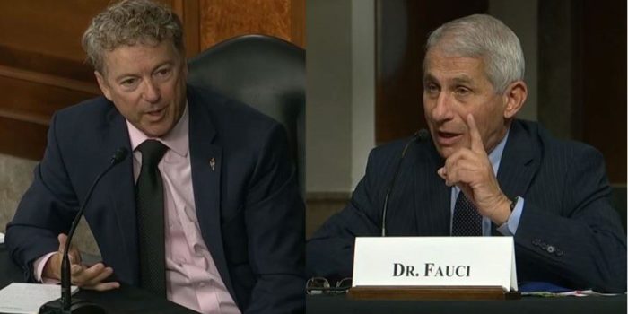Fauci Accused of Bartering Gov’t Funding in Exchange for Award Nominations… rand paul anthony fauci YouTube e1661355968720 1