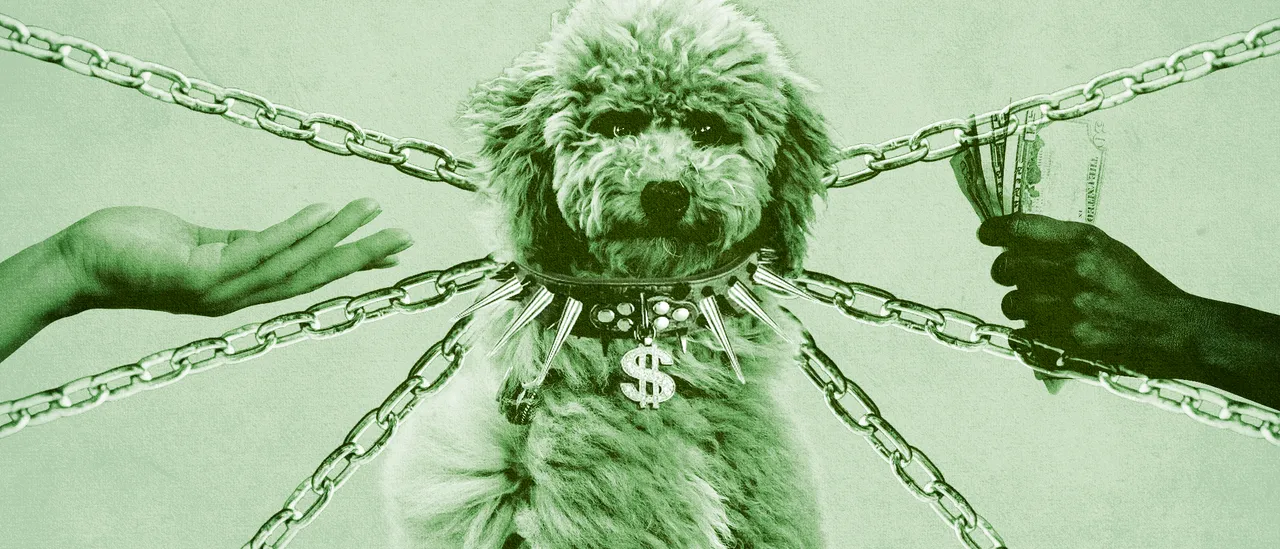 Trump FTC Investigates Veterinary Consolidation Amid Soaring Petflation Costs sitepost 72726 v2