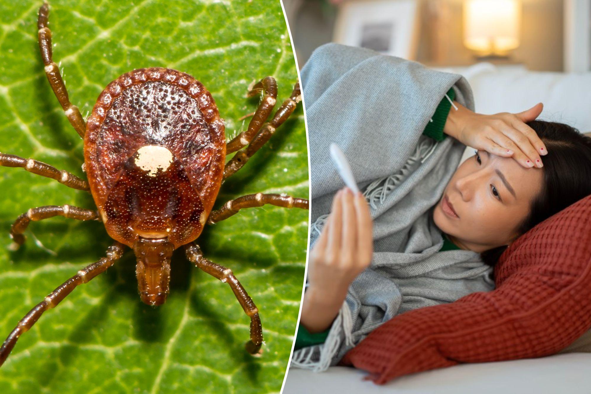 First case of untreatable, potentially fatal Bourbon virus confirmed in New York z4j9n5 1785420096305