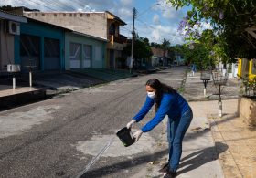 A City Mobilizes Against a Stubborn Health Threat: Mosquitoes