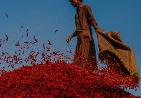 Extreme Heat Comes for the Red Chile Capital of Pakistan