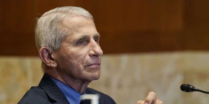 Fauci Declines to Appear before a Second Senate Panel 1000 39 e1652936901363