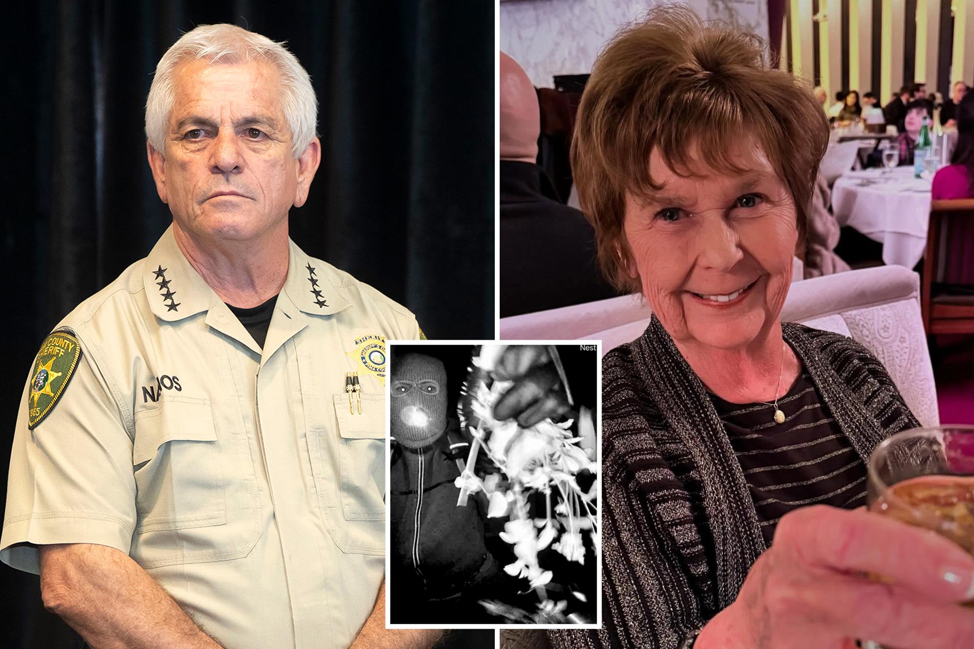 Nancy Guthrie sheriff says investigators may have more video evidence as they review thousands of clips 136164533