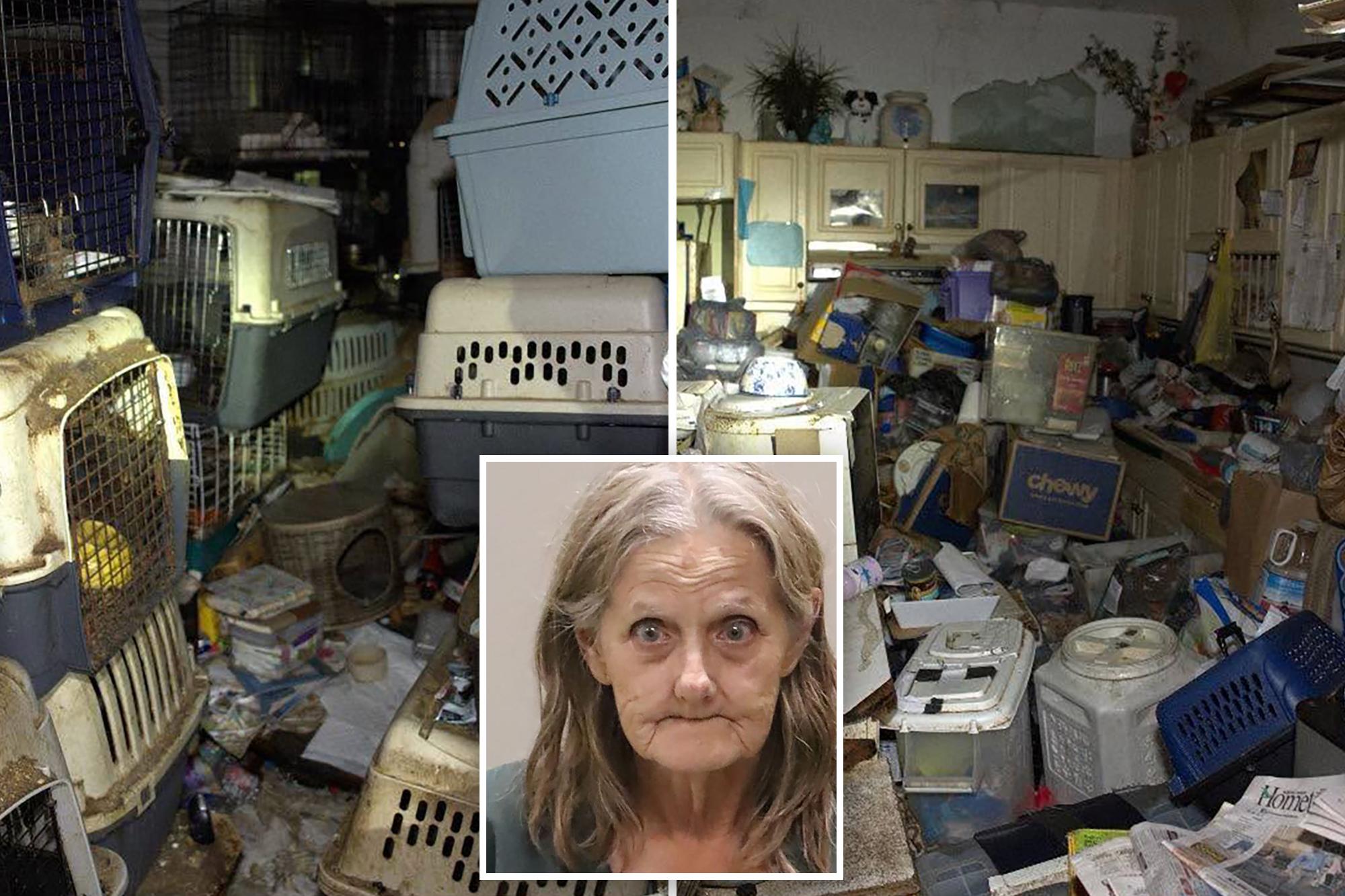 Hoarder mail carrier trapped over 100 cats, dogs stolen from her route in feces-filled Florida house of horrors 136188234