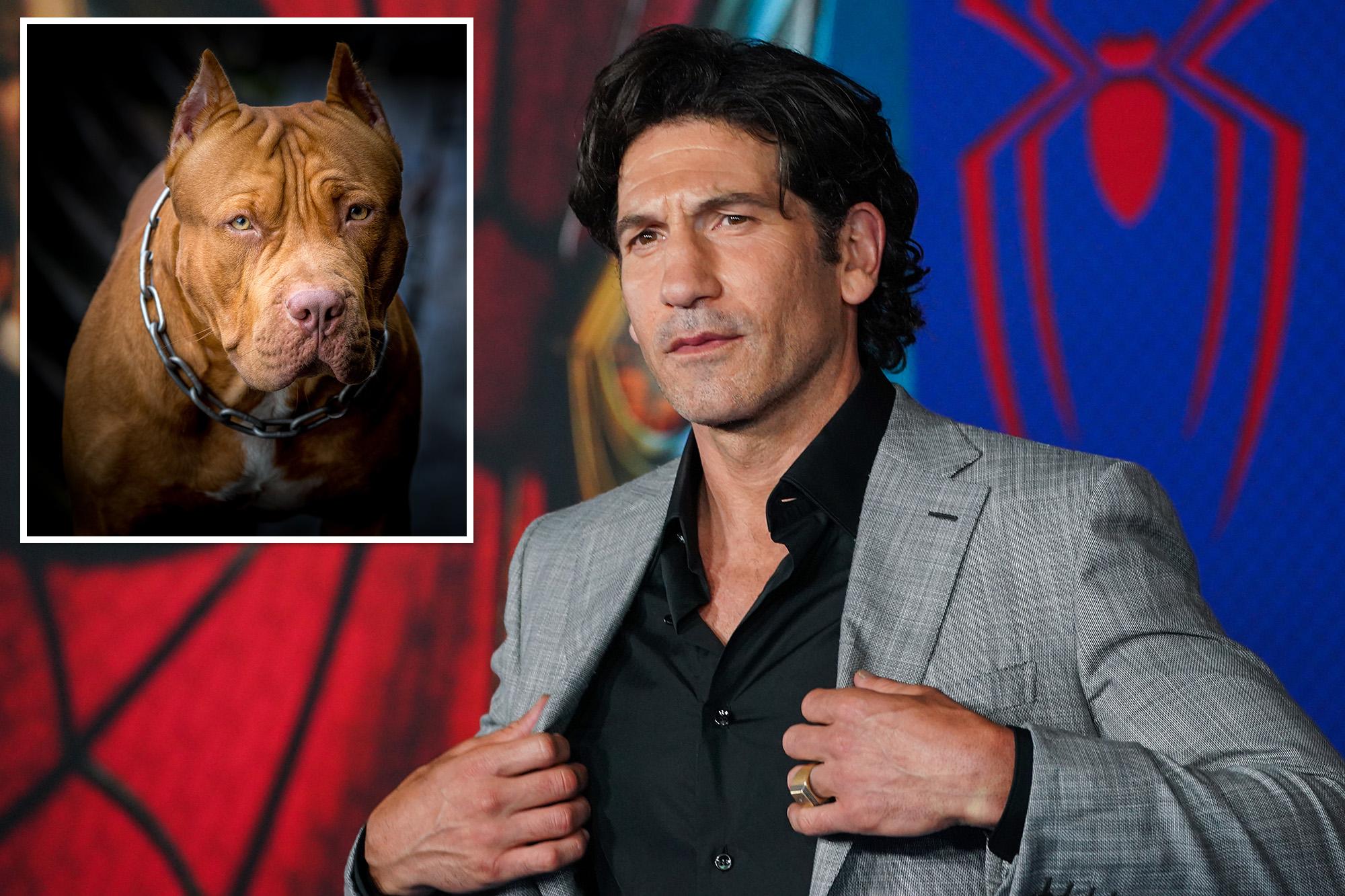 ‘Punisher’ star says pit bulls are victims of ‘dog racism’: ‘A lot of bulls–t’ 136264854