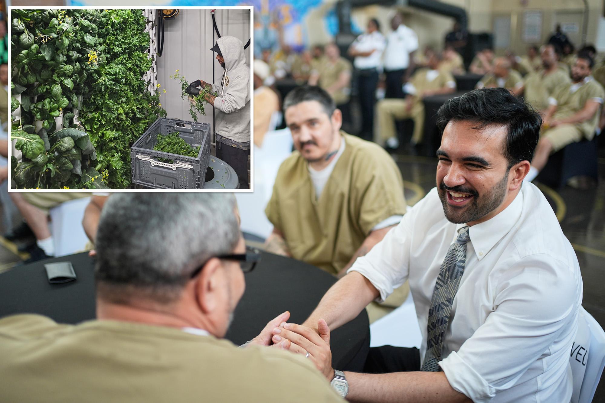 Mamdani admin to turn felons into gourmet-food producers for ‘farm-to-table’ dining at NYC jails 136269624