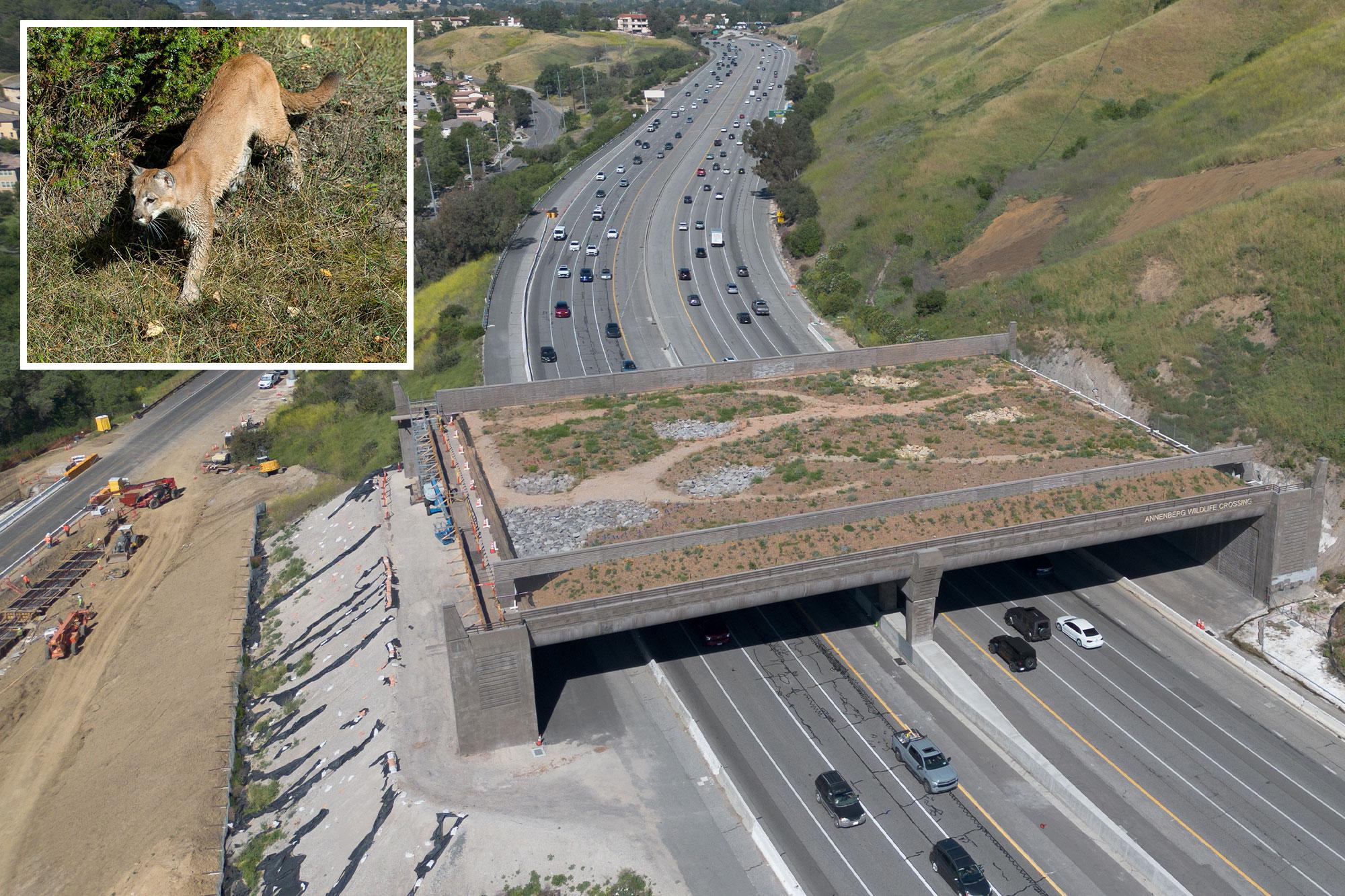 Fury as major freeway ramp closed in aid of $114M wildlife crossing 136394783