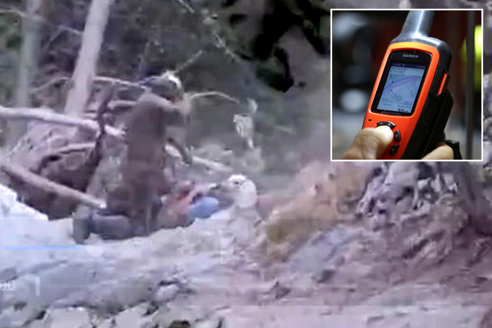 Race against time for hiker bitten by rattlesnake in dramatic rescue 136492226