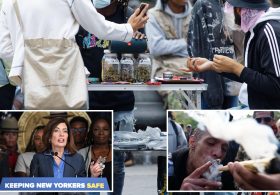 Small NY businesses now allowed to peddle pot at farmers markets, too: ‘One of … fastest growing industries’