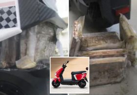 $238K worth of deadly fentanyl discovered stuffed in moped at California border crossing