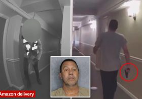 Misdelivered package sparks gun threat, two-hour SWAT standoff in Florida
