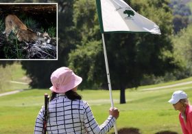 Housing project on Woodland Hills Country Club hits major road block due to mountain lions