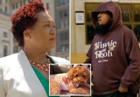 Notorious bail-hating NYC judge releases gunman charged with shooting helpless service dog