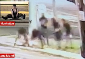 Five Long Island ‘mole people’ seen crawling into manhole — week after headlamp-wearing trio emerged in NYC