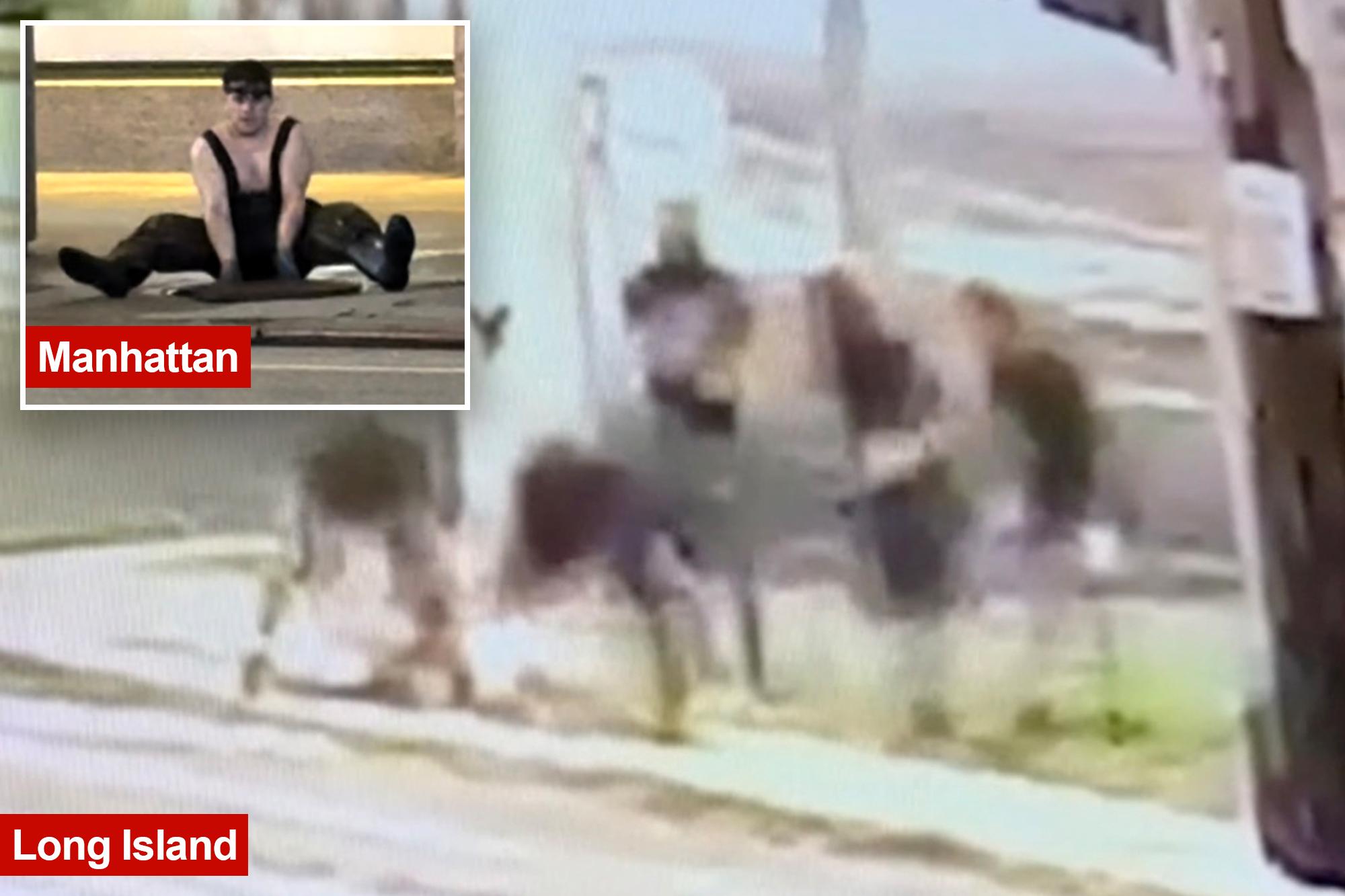 Five Long Island ‘mole people’ seen crawling into manhole — week after headlamp-wearing trio emerged in NYC 138743468
