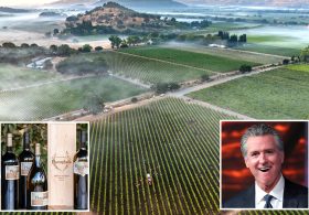Gavin Newsom’s winery revealed as only one to get state payout for wildfires — as vineyard bosses explode