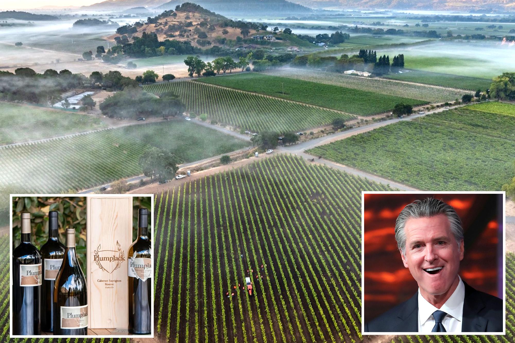Gavin Newsom’s winery revealed as only one to get state payout for wildfires — as vineyard bosses explode 138806283