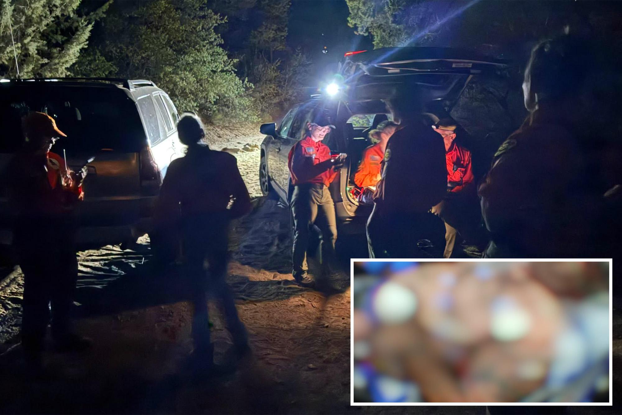 Race against time to save camper attacked by rattlesnake at Arizona remote site 138912463