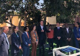 California’s New Tire Efficiency Rules Put Government in the Driver’s Seat